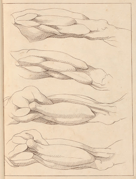 Anatomical Studies of Legs 1716