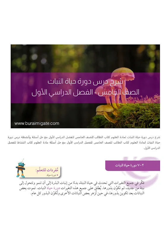 صورة الغلاف