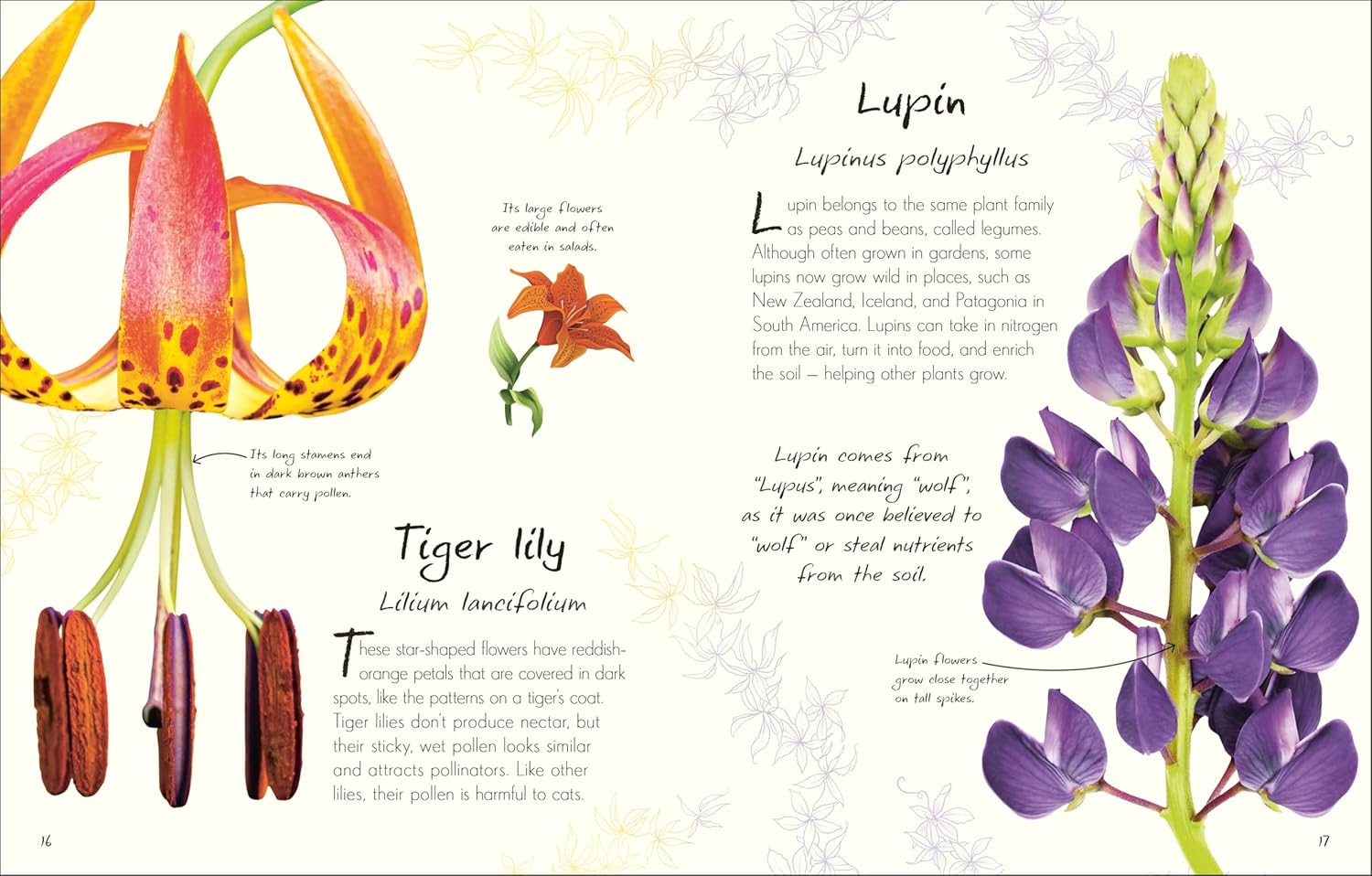 An Anthology of Flowers - thumbnail 2