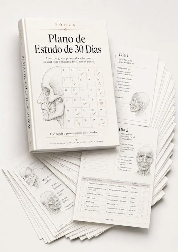 Bônus Plano de Estudo de 30 Dias