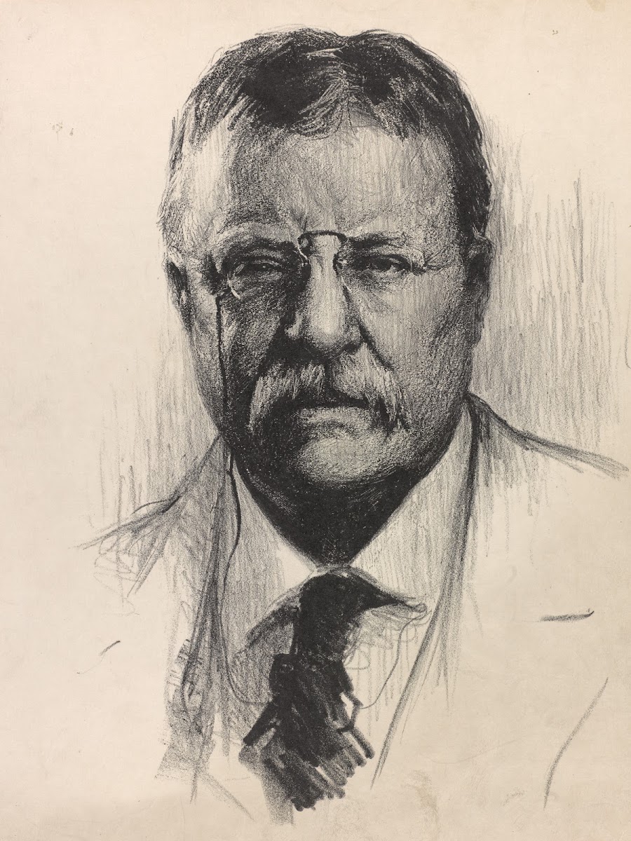 Theodore Roosevelt 1919