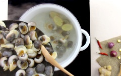 Đun một nồi nước sôi, thêm vào 15gr gừng cắt lát đập dập, cho ốc vào trụng sơ 2 phút sau đó vớt ra rửa sạch.