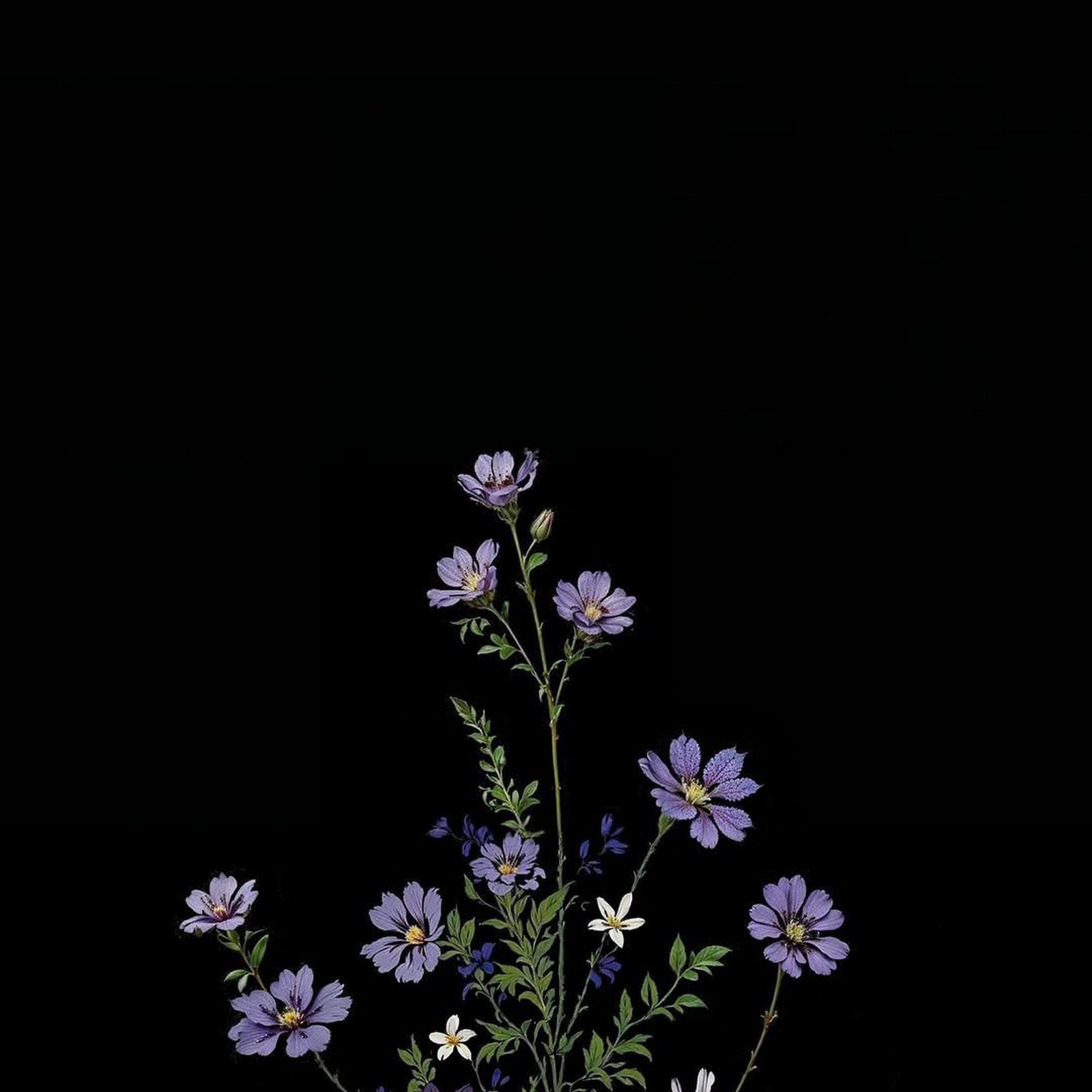 Download Purple Wildflowers On Black Background Full HD iPhone