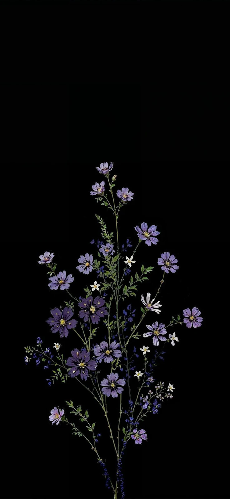 Purple Wildflowers On Black Background - Digital Illustration Full HD iPhone Wallpaper (1080x2341)