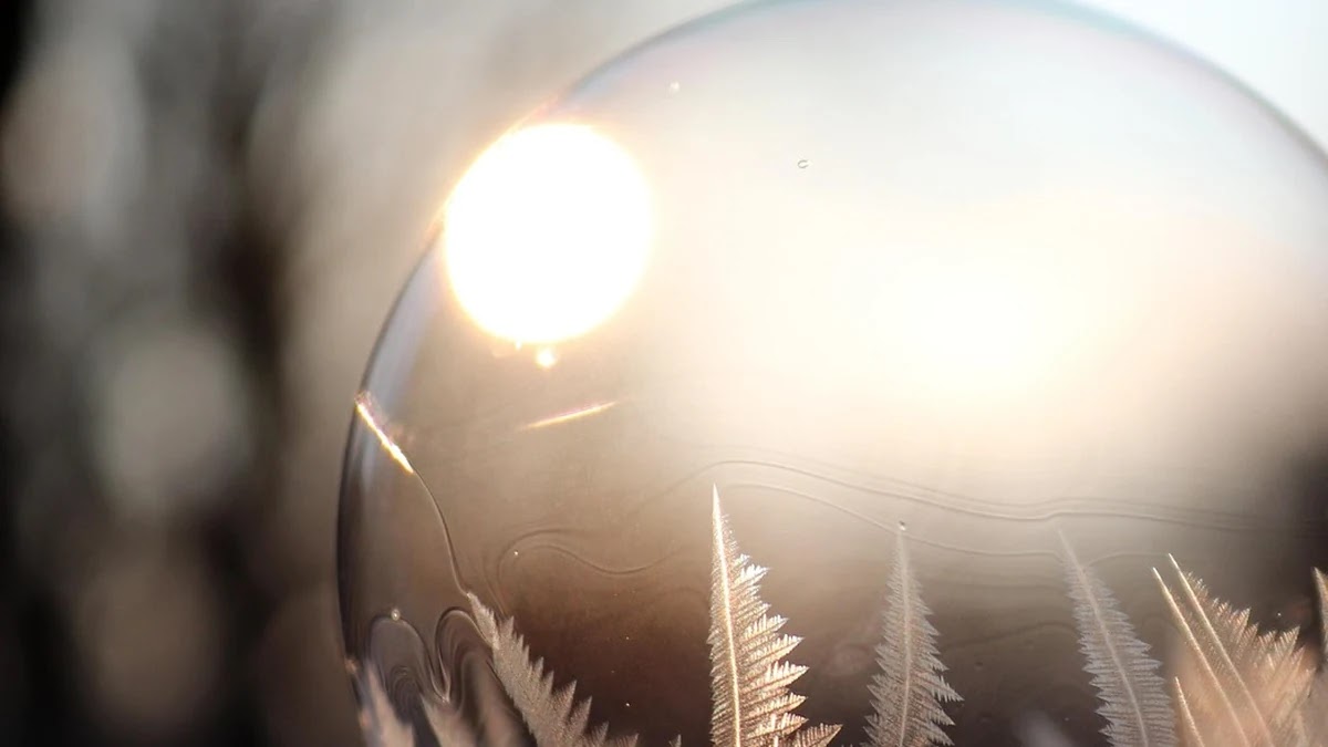 버블 정렬과 선택 정렬의 구조적 차이와 효율성 비교