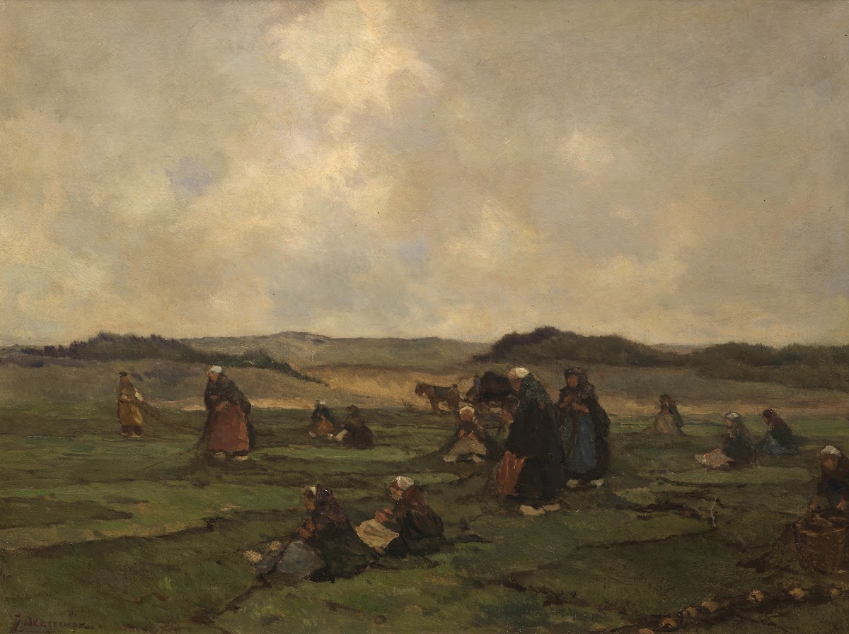 Nettenboetsers Aan Het Strand