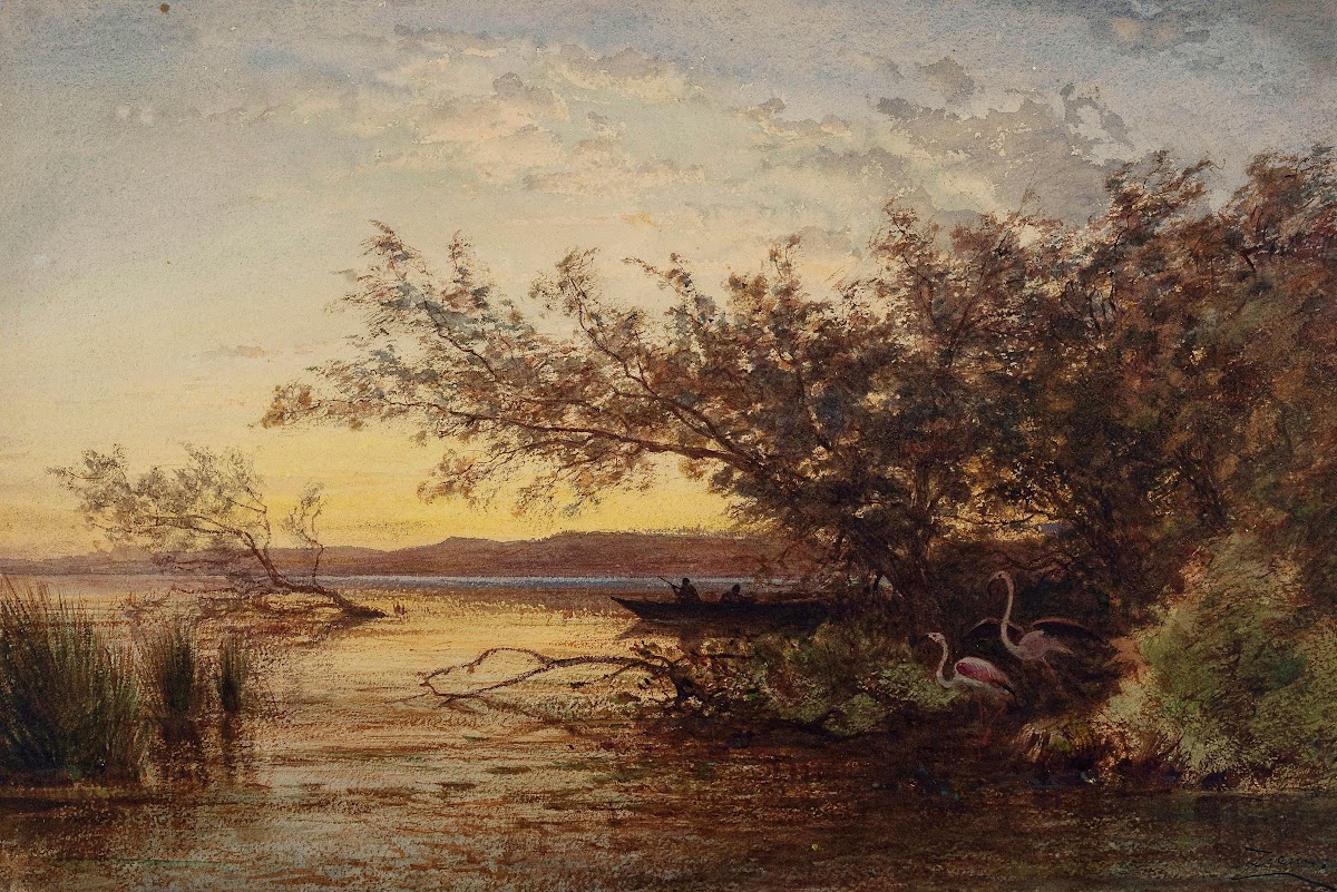 La Camargue Coucher De Soleil