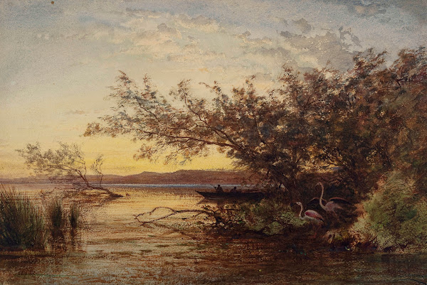 La Camargue Coucher De Soleil