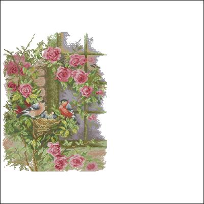 CMP 360059 Nest In Roses