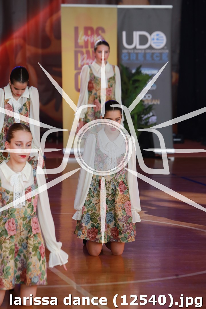 larissa dance (12540).jpg