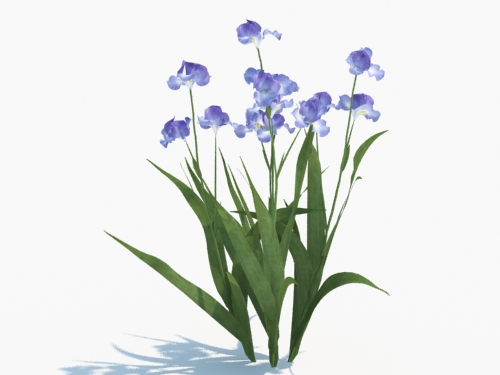 Maxtree - Plant Models Vol.3