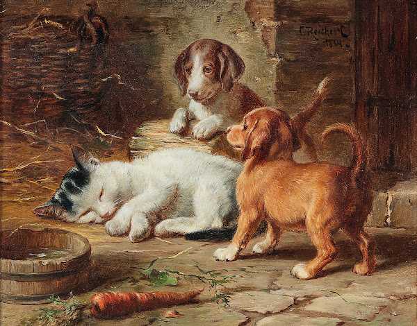The Puppies Are Awake 1884