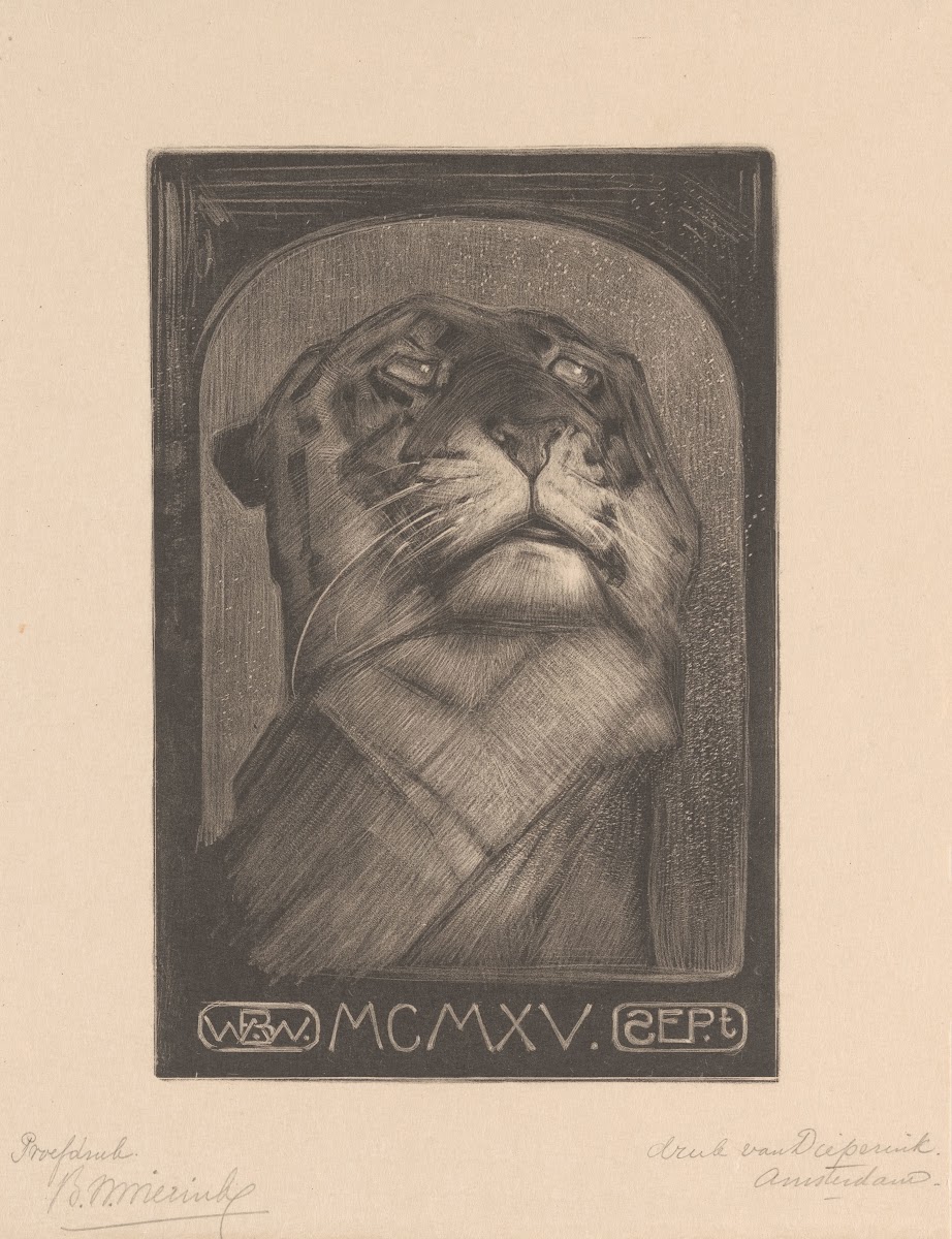 Tijgerkop 1915