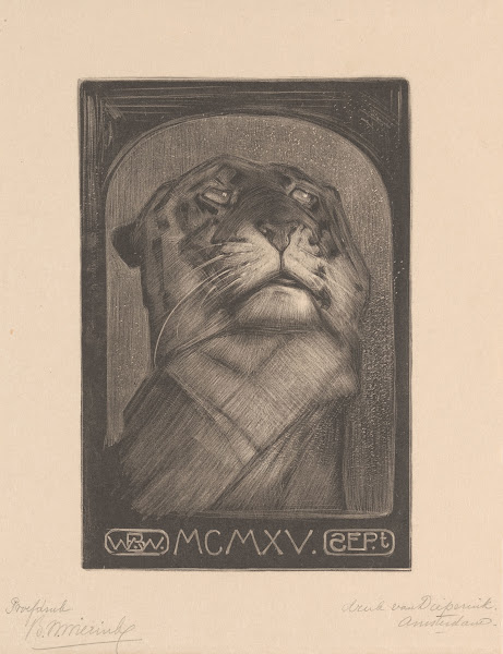 Tijgerkop 1915
