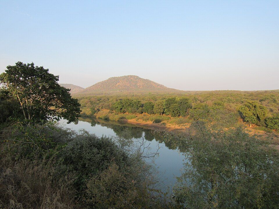 कूनो नेशनल पार्क से होकर बहने वाली कूनो नदी (फाइल फोटो)