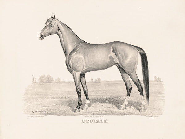 Redpath 1882