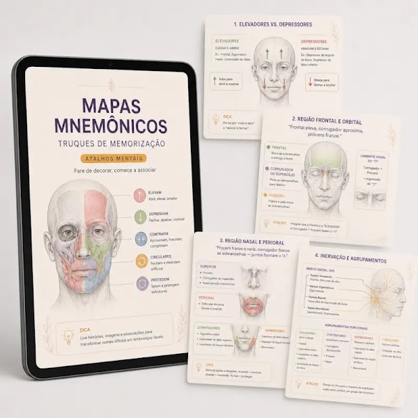 Bônus Mapas Mnemônicos