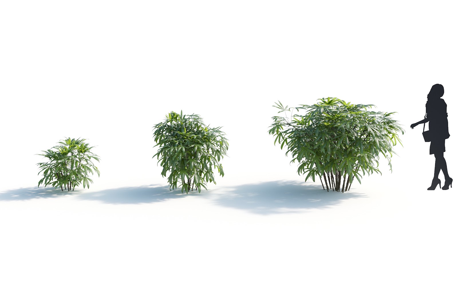 Maxtree - Plant Models Vol.7