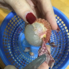 Lột vỏ trái vải, bỏ hột. Để phần thịt vải sang rổ để cho ráo nước. Đừng lấy lại nước vải khi lột ra vì phần nước đó có hơi ngọt gắt.