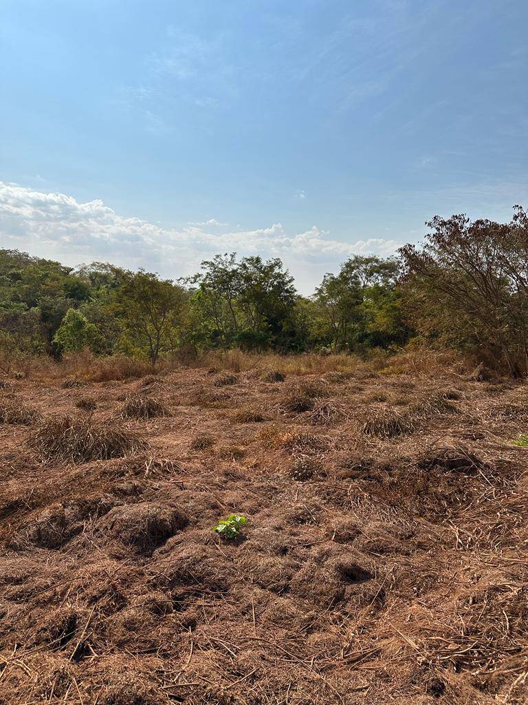 Chácara em Terezópolis de Goiás - GO 2