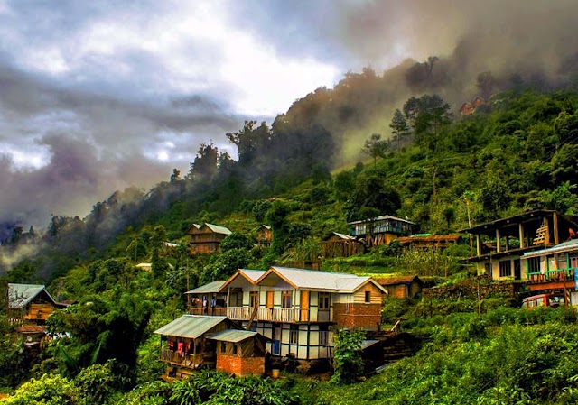 340|DOOARS PACKAGE 2N