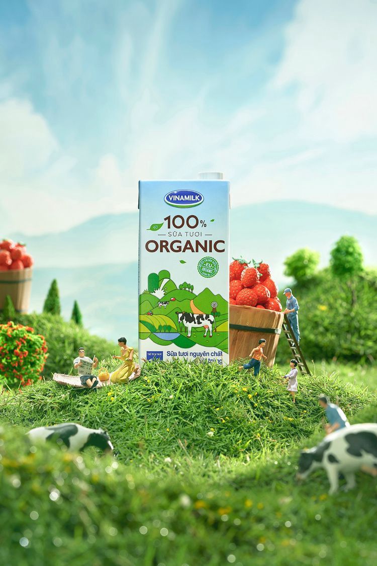Vina milk packaging design