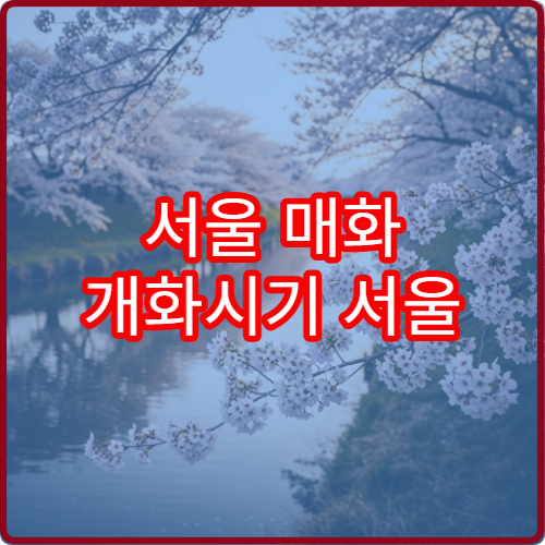 서울 매화 개화시기 서울 매화 절정 시기 언제