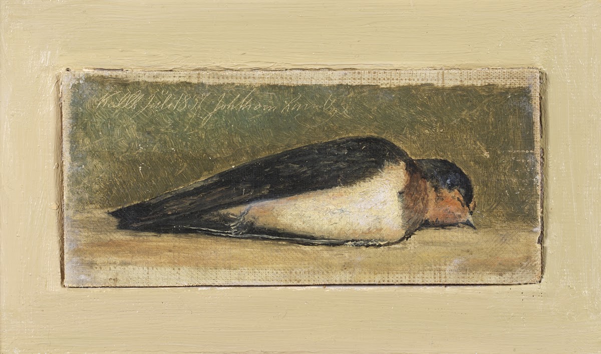 Study of a Dead Swallow 1837