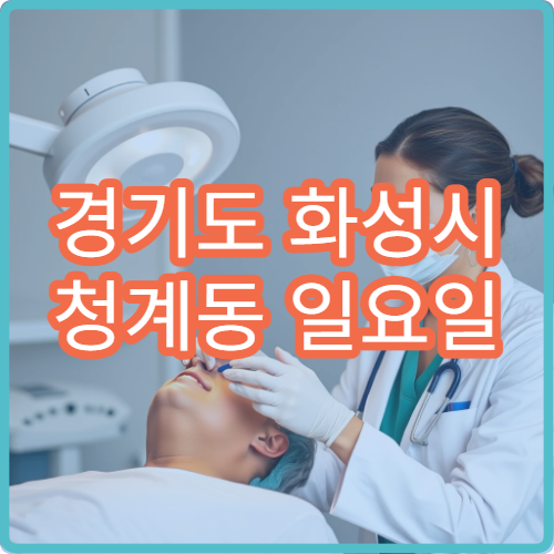 경기도 화성시 청계동 일요일 정형외과 병원 안내 주말 정형외과 정보
