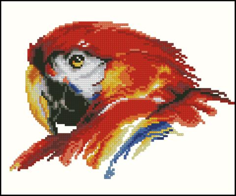 CMP 360103 Parrot Bright