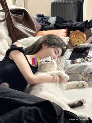 Giấc Mơ Của Nữ Phụ