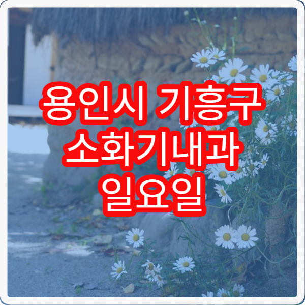용인시 기흥구 소화기내과 일요일 진료 병원 위장 트러블 주말 진료 안내