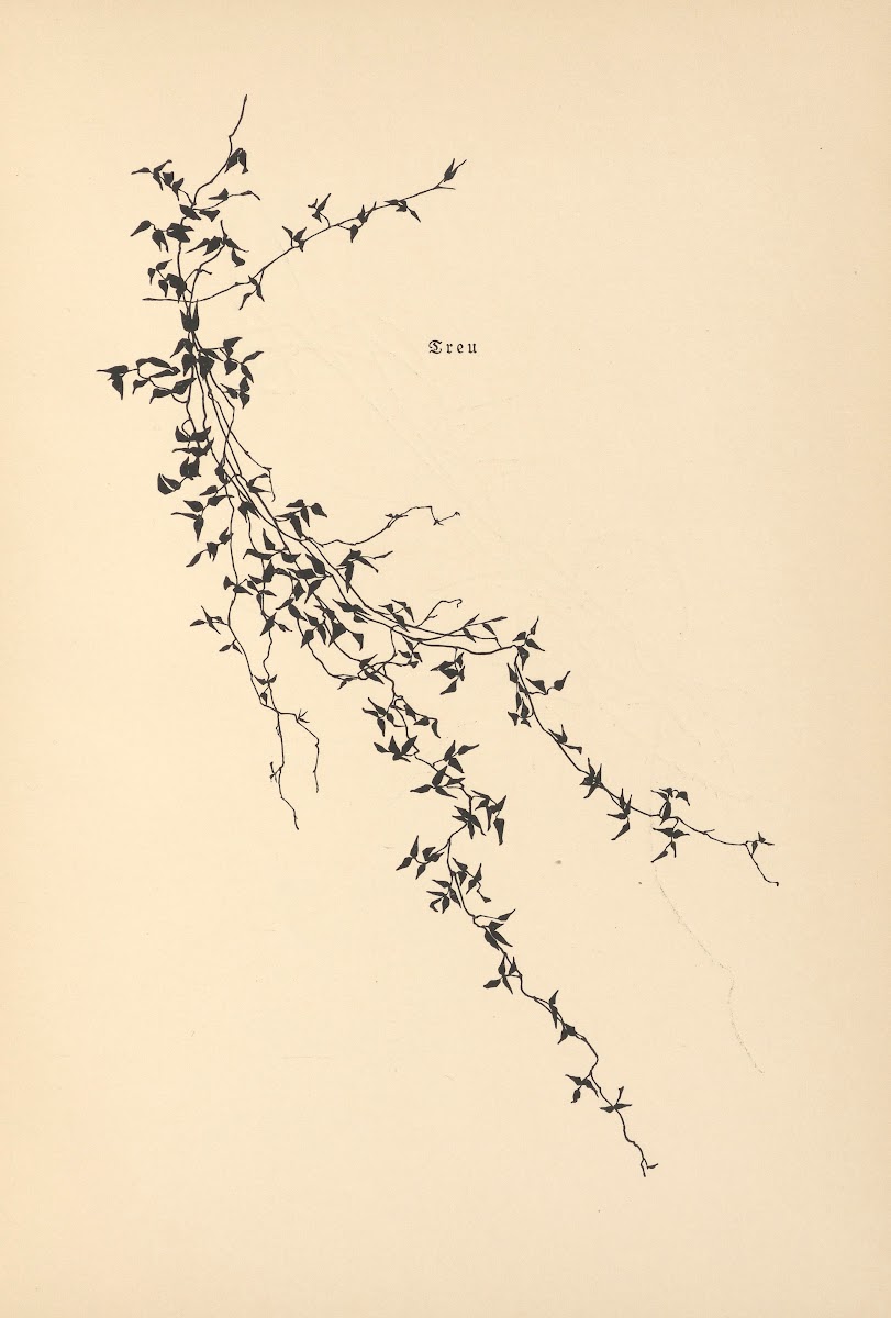 Vertrauen Pl06 1933