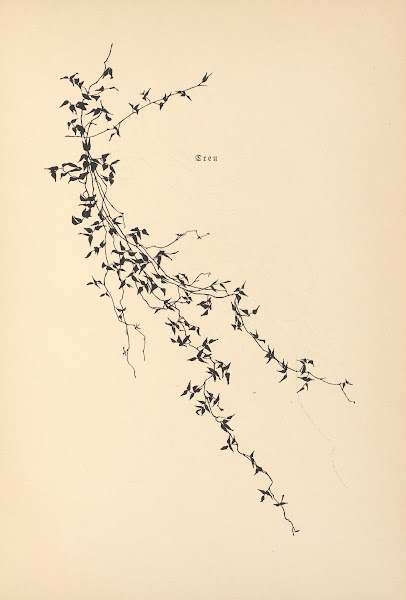 Vertrauen Pl06 1933