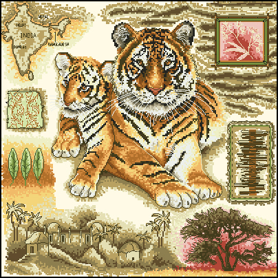 CMP EXP167 Tigers