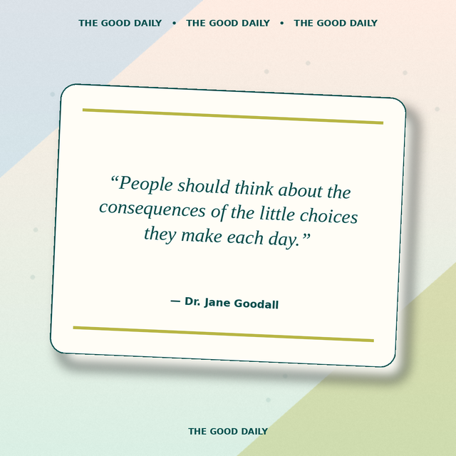 Quote graphic