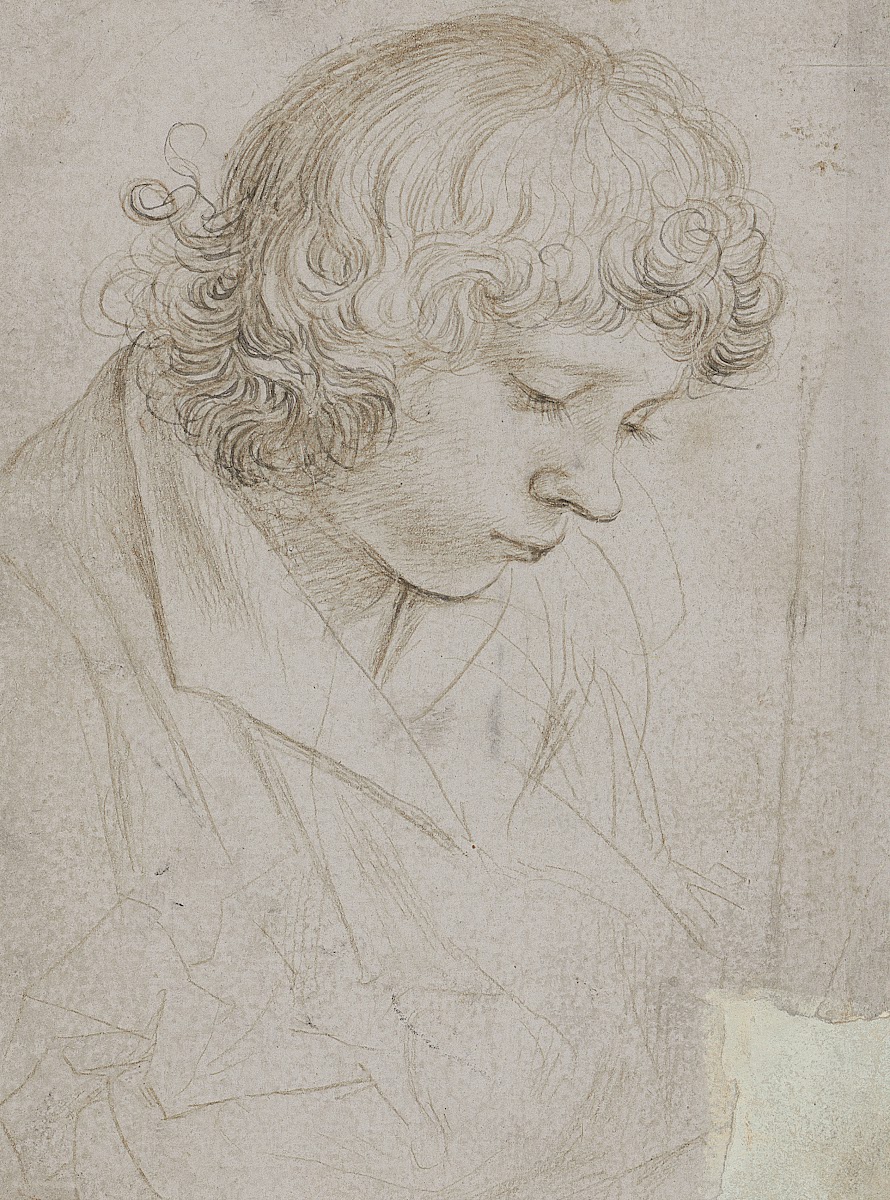 Brustbild Eines Niederblickenden JüNglings 1508