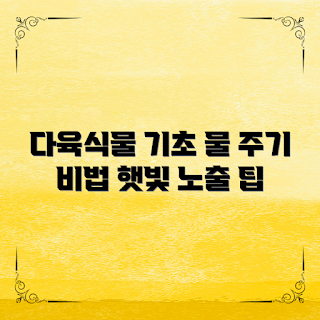 다육식물 기르기, 다육식물 관리, 물 주기, 햇빛 노출, 초보자 다육식물