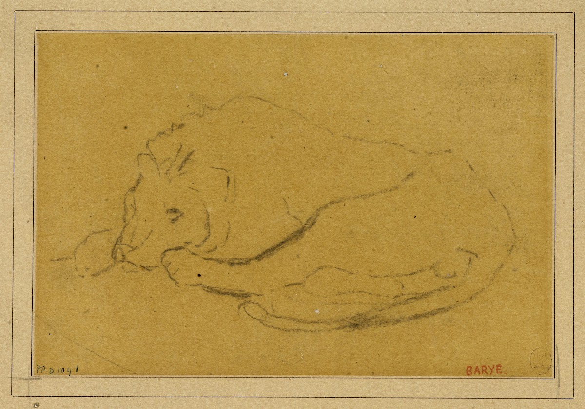 Lion couché la tête entre ses pattes 19th century