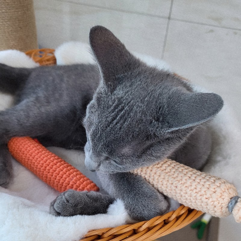 제이공방 - 단순한 소비를 넘어: 2026년, 당신의 라이프스타일에 '진정성'을 더하는 법은? image 2