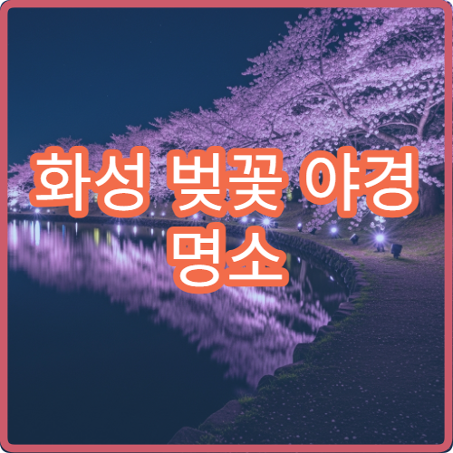 화성 벚꽃 야경 명소 있을까? 밤에도 예쁜 곳 TOP3 공개