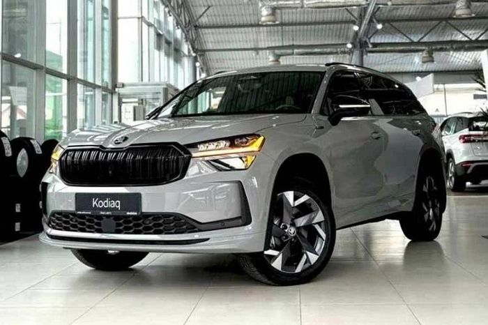 Skoda Việt Nam triệu hồi 100 xe Kodiaq lỗi túi khí bên hông - Báo Tri thức &amp; Cuộc sống