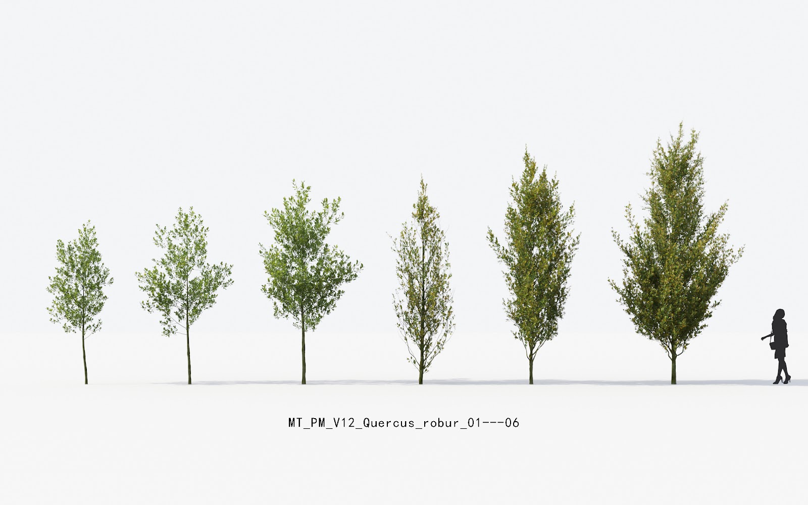 Maxtree - Plant Models Vol.12
