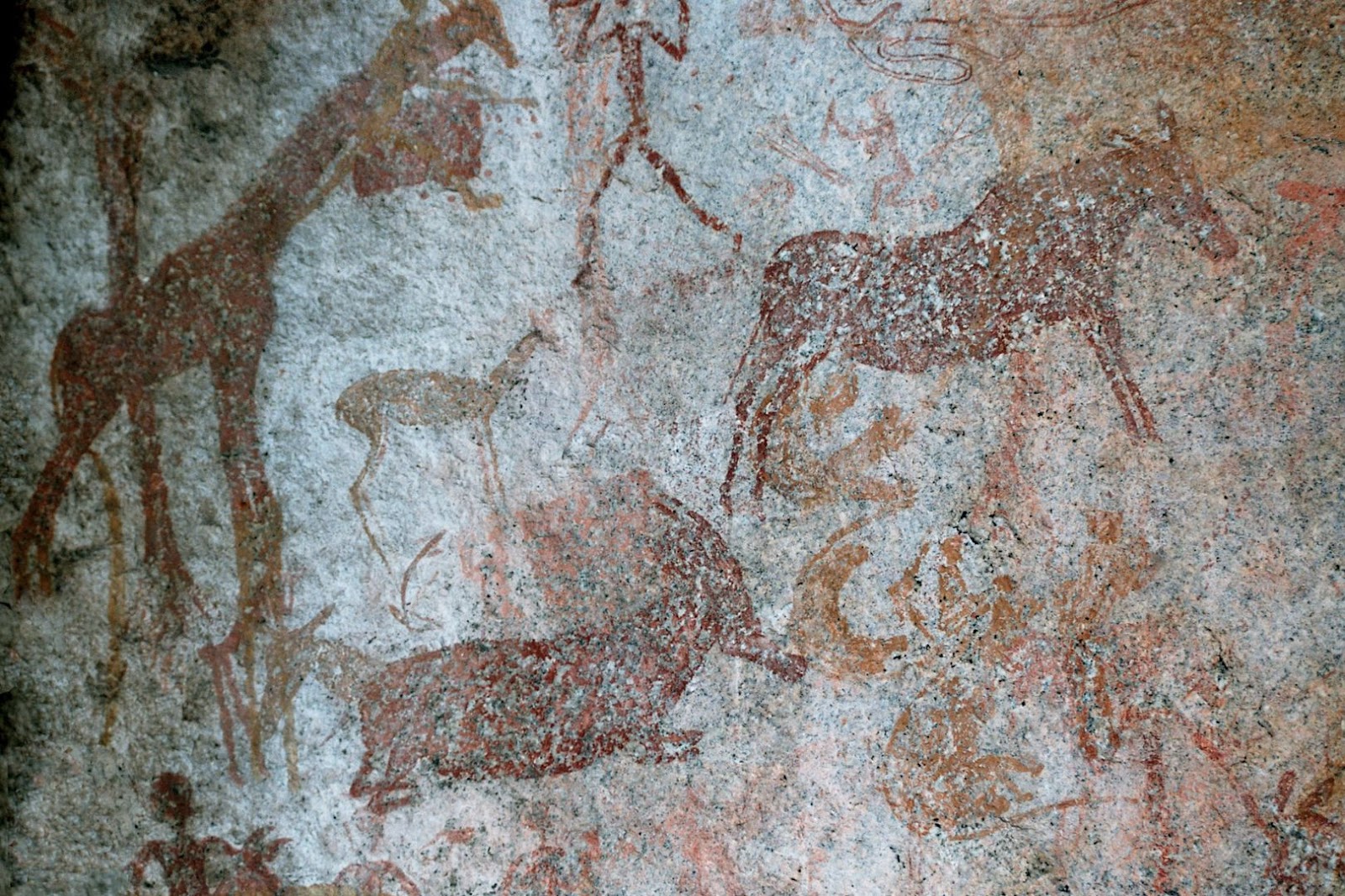 Zimbabwe Cave Paintings
