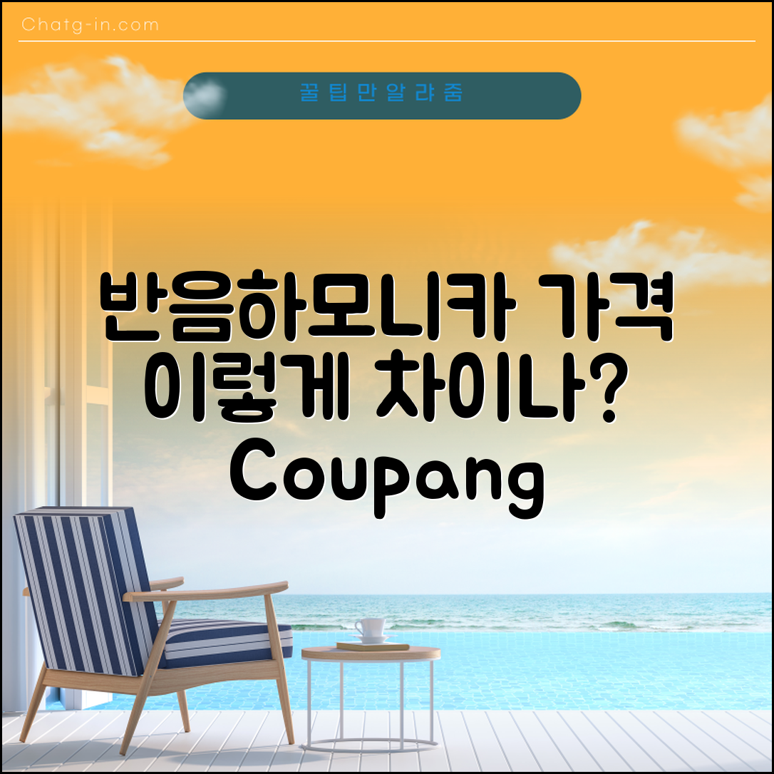 반음하모니카 가격, 이렇게 다를 수 있을까요?