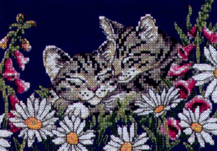 DIM65018 Kitten In Spring