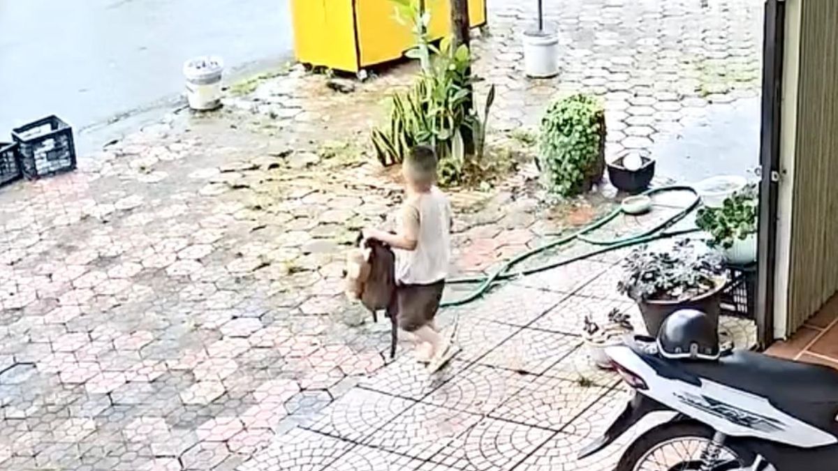 Bố mẹ đều tưởng người kia đưa con đi học, bé 5 tuổi chạy bộ 1 km đuổi theo mẹ - Tạp chí Tri thức