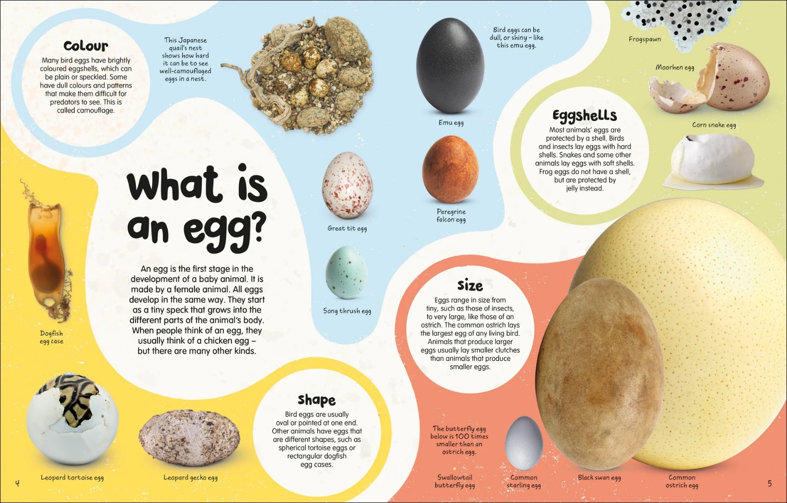 The Egg Book — gambar 2