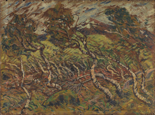 Dwarf Birch In Storm 1907