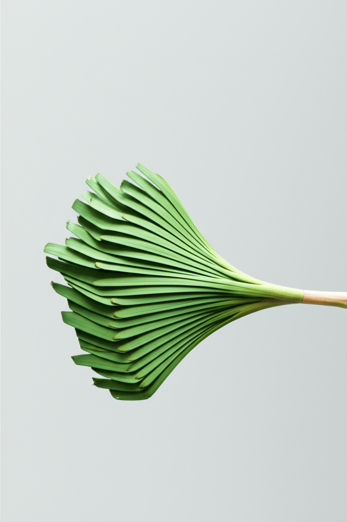 추가 팁: 용량 줄이기와 합치기 동시 활용법